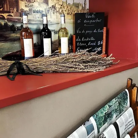 Hotel Le Magnan Avignon